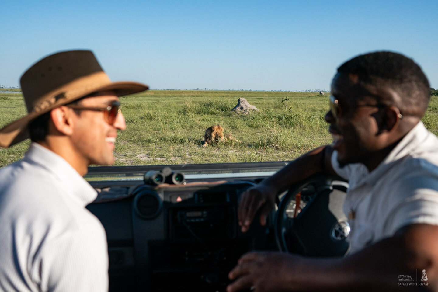 Fun facts about lions on a safari in Okavango Delta